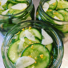 Load image into Gallery viewer, CUCUMBERS IN GARLIC MUSTARD VINEGAR - (2nd Place Royal Easter Show)