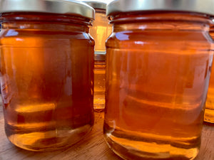 APPLE JELLIES (Green, Red or Crabapple)